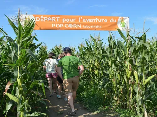 La belle histoire de Pop Corn Labyrinthe, originaire du Morbihan